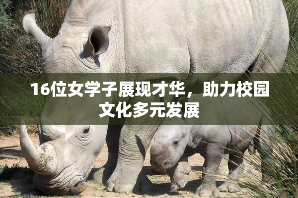 16位女学子展现才华，助力校园文化多元发展