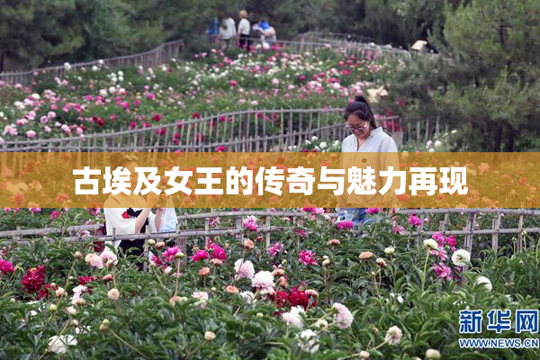古埃及女王的传奇与魅力再现