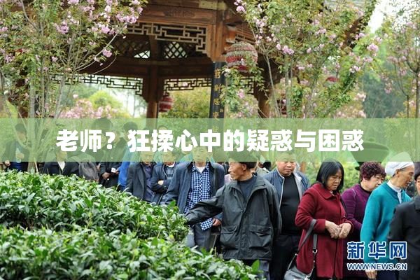 老师？狂揉心中的疑惑与困惑