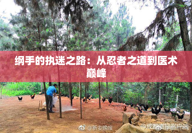纲手的执迷之路：从忍者之道到医术巅峰