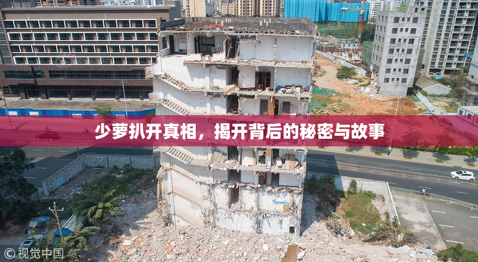 少萝扒开真相，揭开背后的秘密与故事