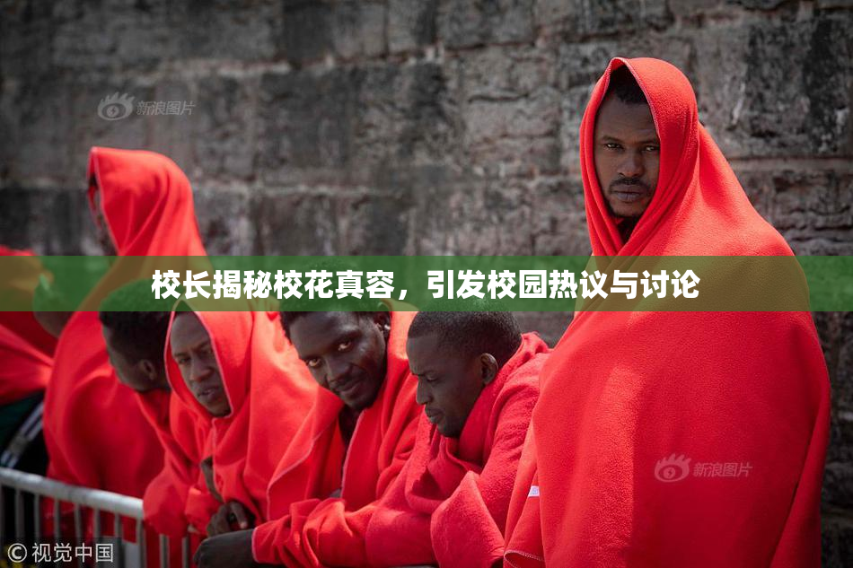 校长揭秘校花真容，引发校园热议与讨论