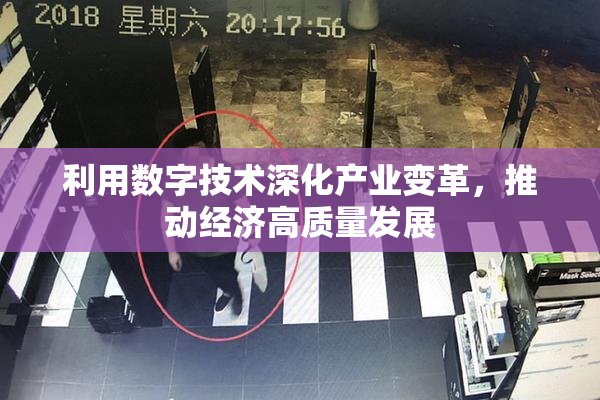 利用数字技术深化产业变革，推动经济高质量发展