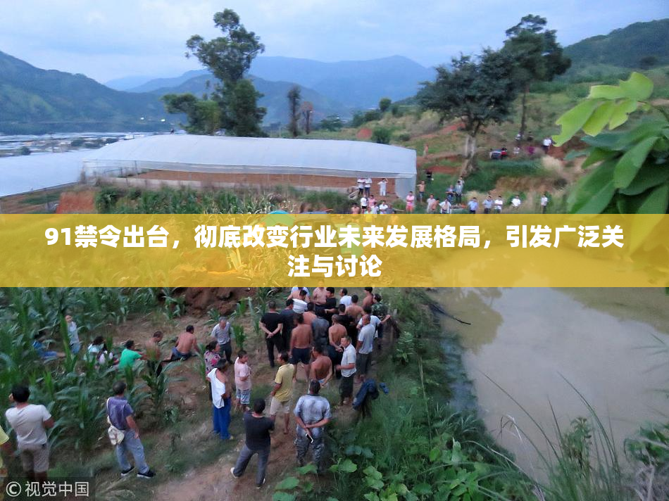 91禁令出台，彻底改变行业未来发展格局，引发广泛关注与讨论
