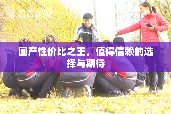 国产性价比之王，值得信赖的选择与期待