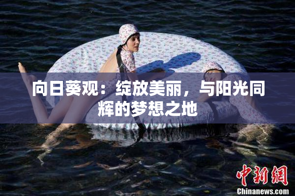 向日葵观：绽放美丽，与阳光同辉的梦想之地