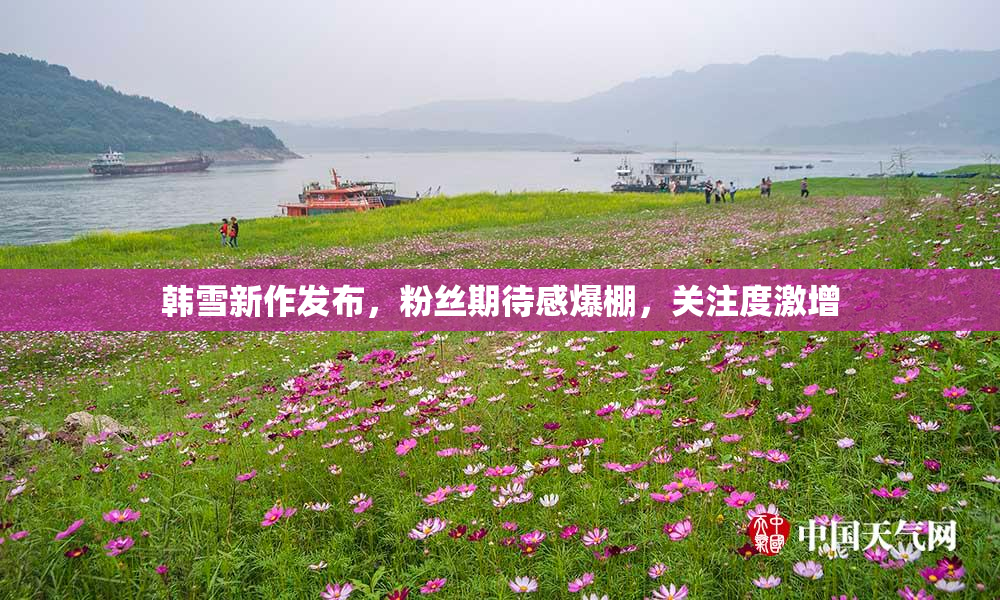 韩雪新作发布，粉丝期待感爆棚，关注度激增