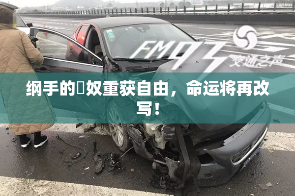 纲手的婬奴重获自由，命运将再改写！