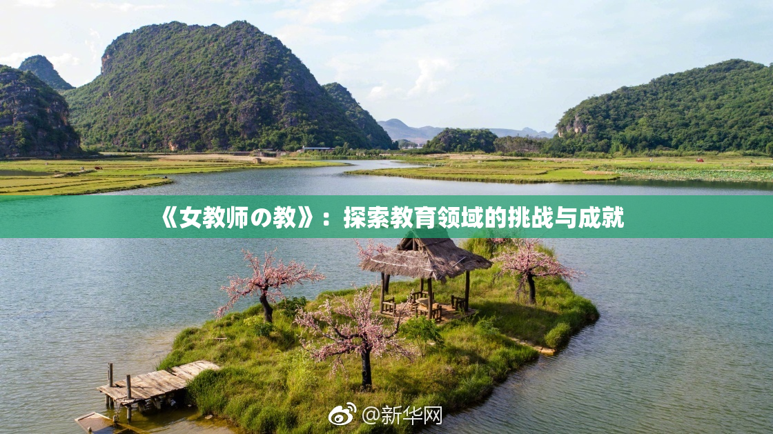 《女教师の教》：探索教育领域的挑战与成就