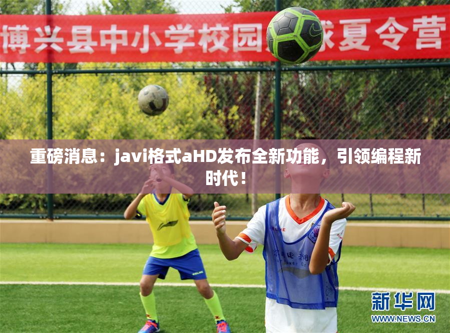 重磅消息：javi格式aHD发布全新功能，引领编程新时代！