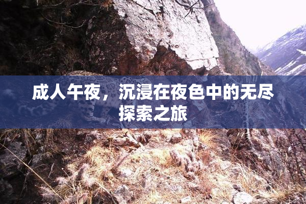 成人午夜，沉浸在夜色中的无尽探索之旅
