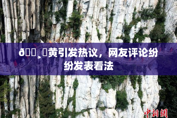 🌸‌黄引发热议，网友评论纷纷发表看法