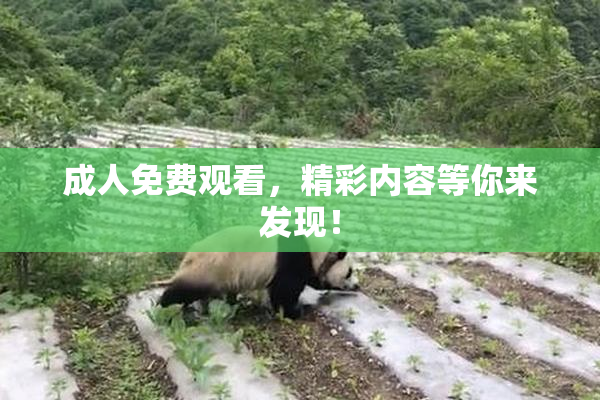 成人免费观看，精彩内容等你来发现！