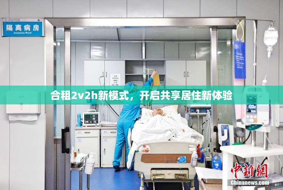 合租2v2h新模式，开启共享居住新体验