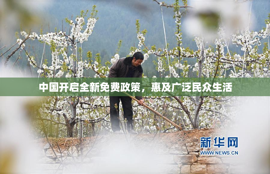 中国开启全新免费政策，惠及广泛民众生活