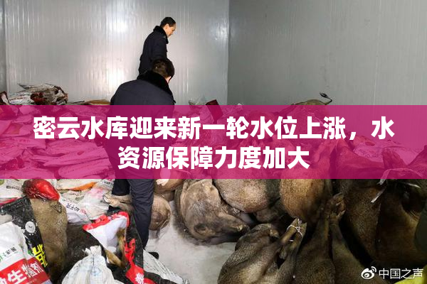 密云水库迎来新一轮水位上涨，水资源保障力度加大