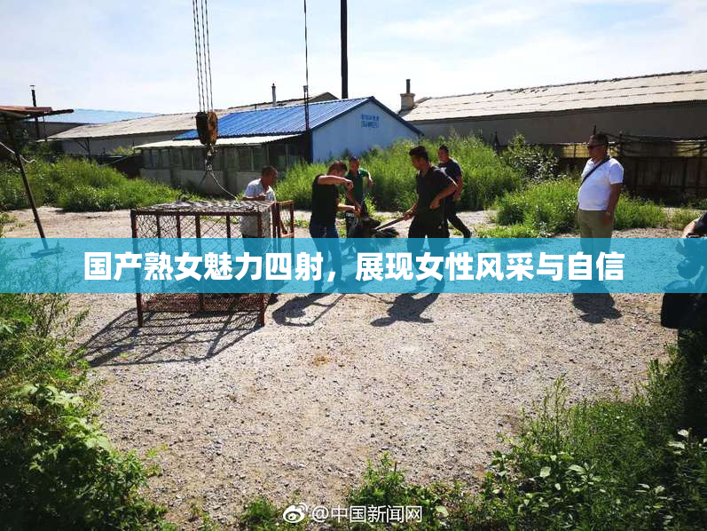 国产熟女魅力四射，展现女性风采与自信