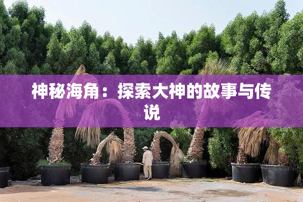 神秘海角：探索大神的故事与传说