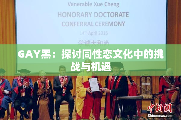 GAY黑：探讨同性恋文化中的挑战与机遇