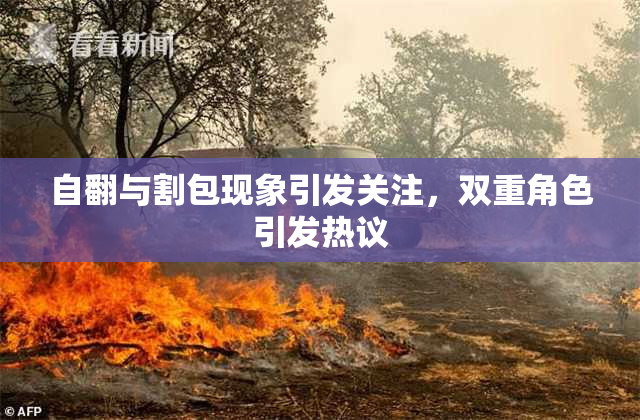 自翻与割包现象引发关注，双重角色引发热议