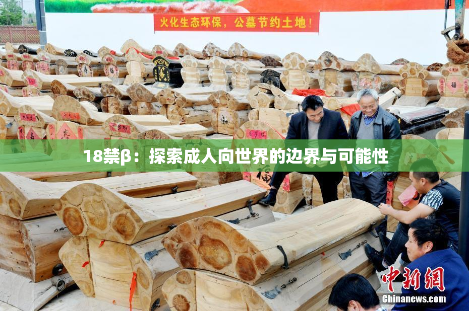 18禁β：探索成人向世界的边界与可能性