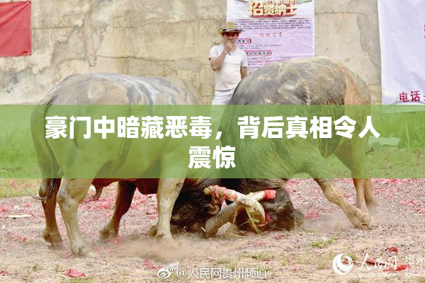 豪门中暗藏恶毒，背后真相令人震惊