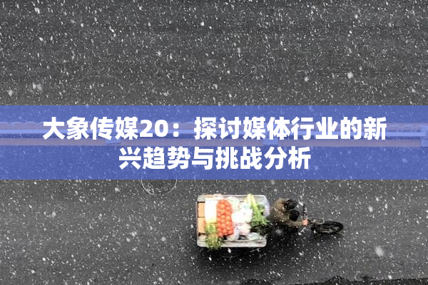 大象传媒20：探讨媒体行业的新兴趋势与挑战分析