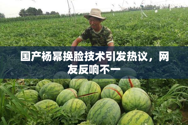 国产杨幂换脸技术引发热议，网友反响不一