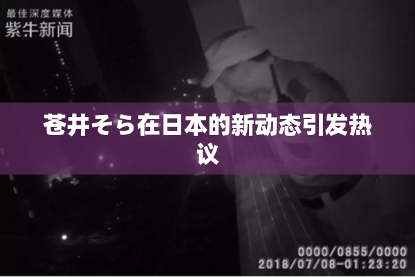 苍井そら在日本的新动态引发热议