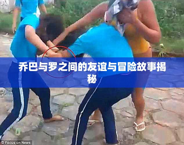 乔巴与罗之间的友谊与冒险故事揭秘