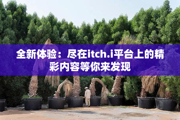 全新体验：尽在itch.i平台上的精彩内容等你来发现