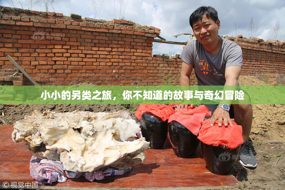 小小的另类之旅，你不知道的故事与奇幻冒险