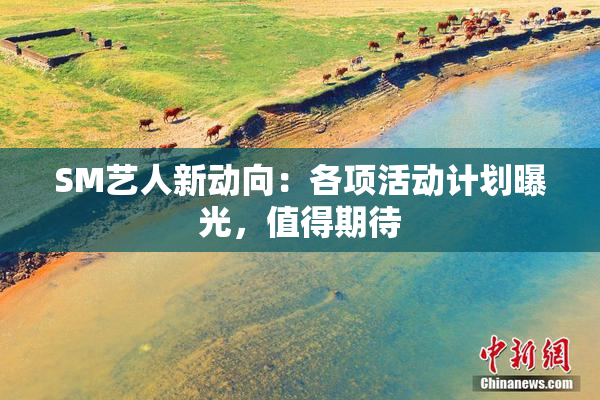 SM艺人新动向：各项活动计划曝光，值得期待