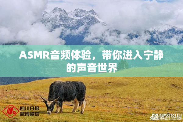 ASMR音频体验，带你进入宁静的声音世界