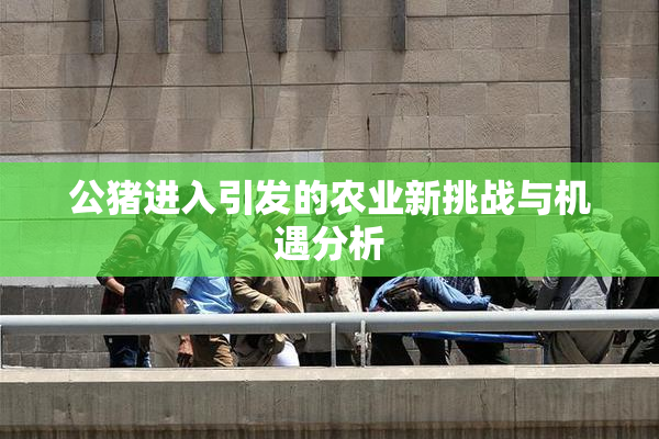 公猪进入引发的农业新挑战与机遇分析