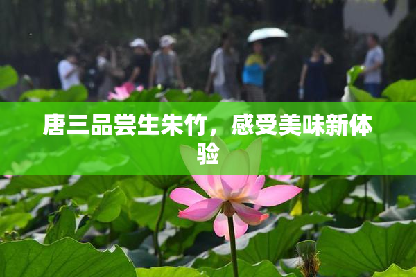 唐三品尝生朱竹，感受美味新体验