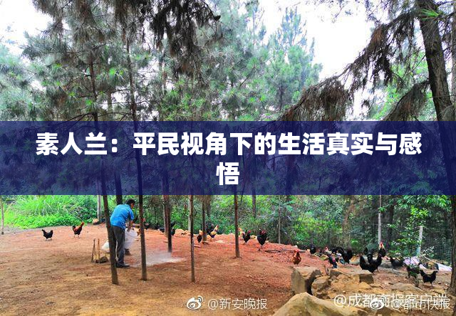 素人兰：平民视角下的生活真实与感悟