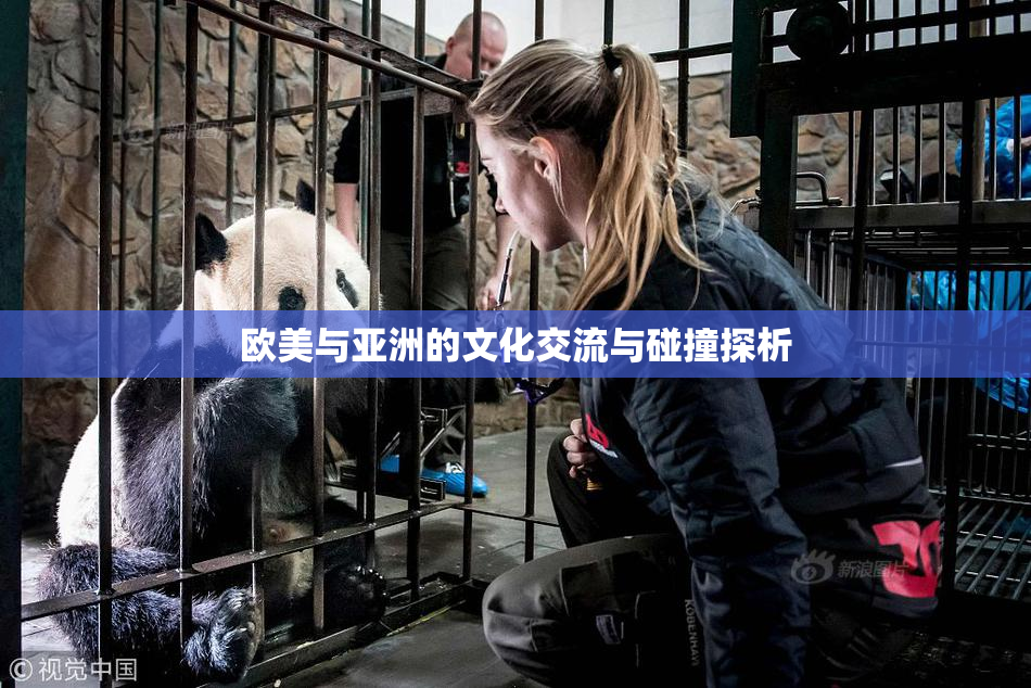 欧美与亚洲的文化交流与碰撞探析