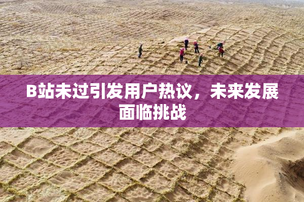 B站未过引发用户热议，未来发展面临挑战