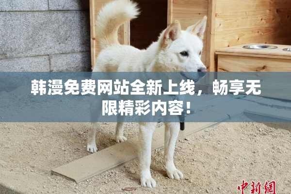 韩漫免费网站全新上线，畅享无限精彩内容！