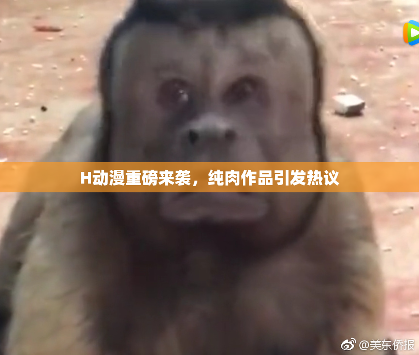 H动漫重磅来袭，纯肉作品引发热议