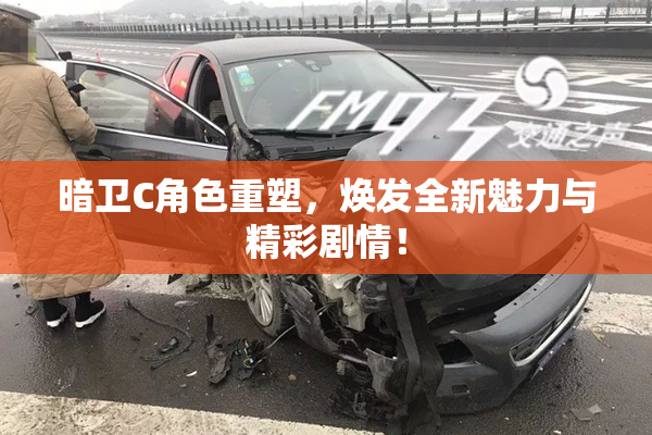 暗卫C角色重塑，焕发全新魅力与精彩剧情！