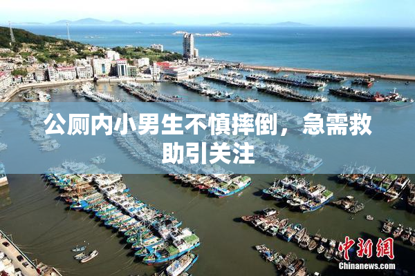 公厕内小男生不慎摔倒，急需救助引关注