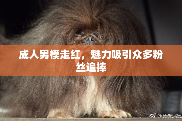 成人男模走红，魅力吸引众多粉丝追捧