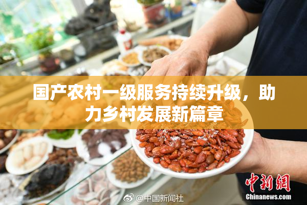 国产农村一级服务持续升级，助力乡村发展新篇章