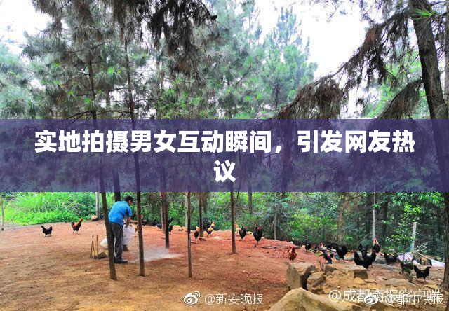 实地拍摄男女互动瞬间，引发网友热议