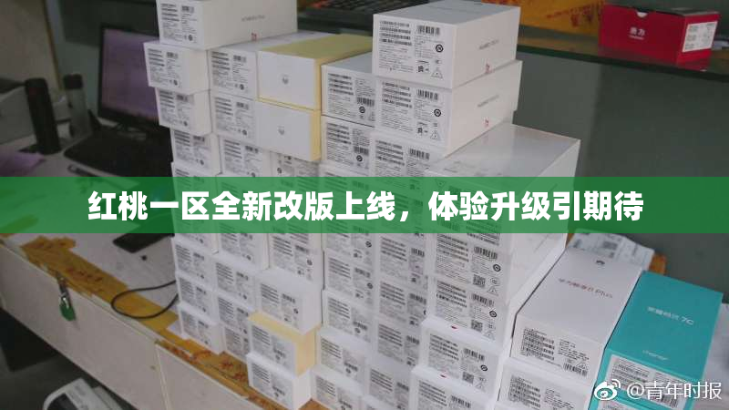 红桃一区全新改版上线，体验升级引期待