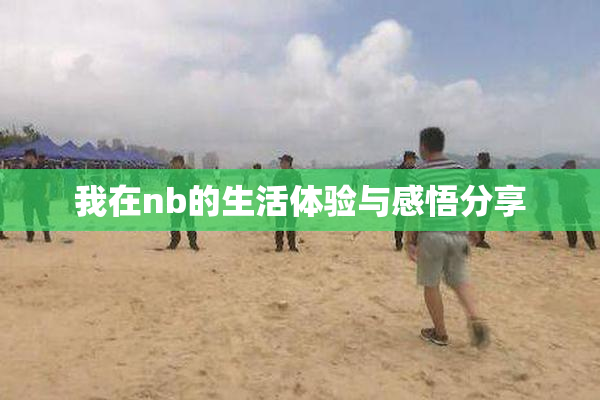 我在nb的生活体验与感悟分享