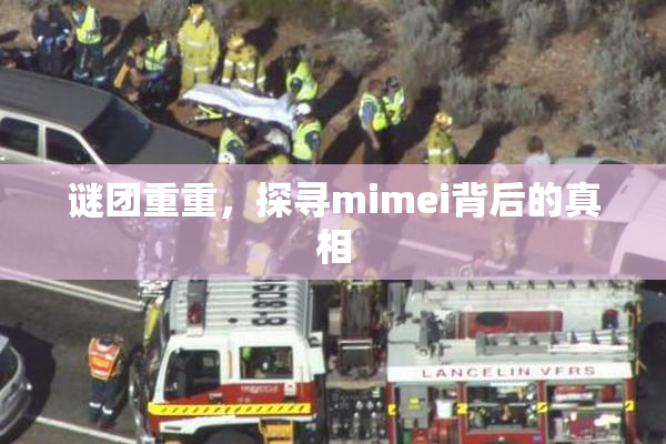 谜团重重，探寻mimei背后的真相