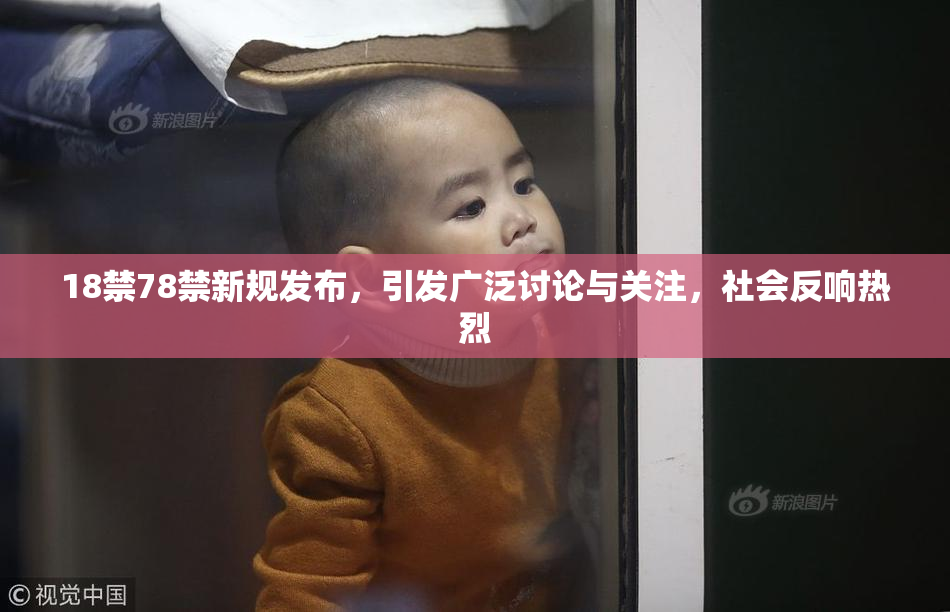 18禁78禁新规发布，引发广泛讨论与关注，社会反响热烈